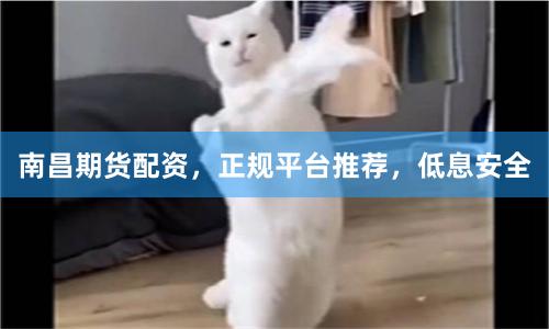 南昌期货配资，正规平台推荐，低息安全