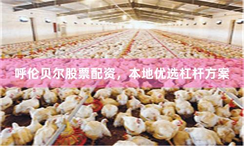 呼伦贝尔股票配资，本地优选杠杆方案